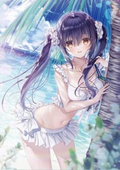 福袋 公式 B2タペストリー「うれしはずかし♡初海デート」 たにはらなつき タペストリー