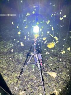 HID 7インチ 55w ライトトラップ 12vシガーソケット 三脚付き 5m