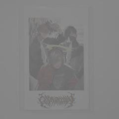 CrazyRaccoon CR ロックの日 チェキ シークレット CrazyRaccoon CR ロックの日 チェキ シークレット ② - メルカリ