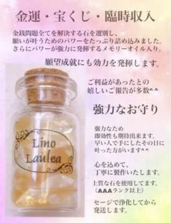 ご注文　Lino laulea＊プロフ必読＊ Lino laulea＊プロフ必読＊様 リクエスト 3点 まとめ商品 - メルカリ
