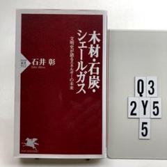 木材・石炭・シェールガス : 文明史が語るエネルギ Q3-2Y53