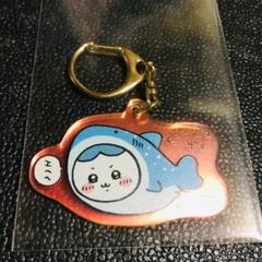 ハチワレ　ジンベエザメ