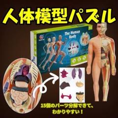 美品　sassi 　パズル　人体 　知育 Amazon | akinashi 知育玩具 立体パズル 脳トレ おもちゃ 54