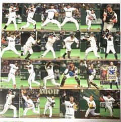 プロ野球 チップスカード2018・2019読売ジャイアンツまとめ売りのサムネイル