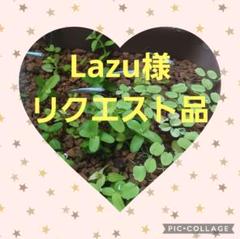 水草⭐︎様 リクエスト 4点 まとめ商品 公式MeGreenおすすめグッズ – MeGreen by GEX