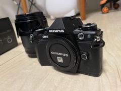 2025年最新】om-d e-m5 ジャンクの人気アイテム - メルカリ