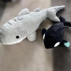 サメとアヒルのぬいぐるみセット サメとシャチのぬいぐるみセット - メルカリ