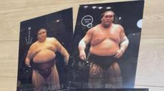 相撲 力士　クリアファイル　2枚セット 豊昇龍智勝　照ノ富士春雄　御嶽海久司