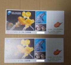 新江ノ島水族館ご招待券2名様分