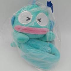 ハンギョドン つれてってぬいぐるみバンド 目閉じ