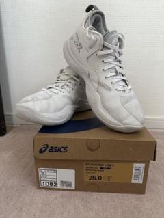 asics NOVA SURGE LOW2 ホワイト25.0cmアシックス