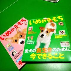 いぬのきもち 2023年　1年分　12冊セット　まとめ売り　付録付き 2025年最新】いぬのきもち12冊の人気アイテム - メルカリ