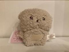 いしよわちゃん