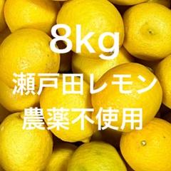 魔人ぶぅ　　　瀬戸田レモン 国産瀬戸田レモン22 - メルカリ