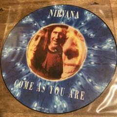 nirvana ニルヴァーナ　ピクチャーレコード 希少・LP】NIRVANA - NEVERMIND アナログピクチャーレコード
