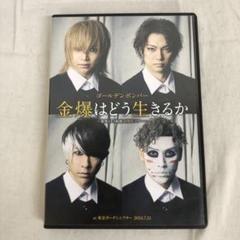 2025年最新】金爆はどう生きるか dvdの人気アイテム - メルカリ