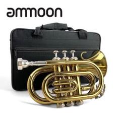 ハム太郎様⚫︎未使用●ammoon● バイオリン 4/4 初心者用 フルサイズ 2025年最新】ammoon バイオリンの人気アイテム - メルカリ