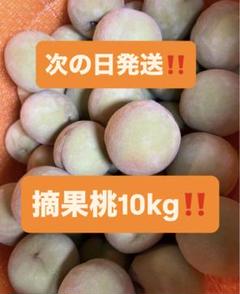 あかつき 摘果桃 加工用 カリカリ 10kg 山形県産 あかつき ようかひ 摘果桃 もも 加工用 資材込 約10kg