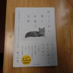 捨てられた僕と母猫と奇跡 : 心に傷を負った二人が新たに見つけた居場所