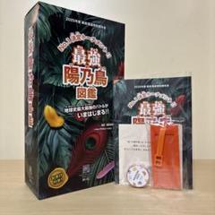 新政 頒布会2025 陽乃鳥 ノベルティ付き - メルカリ