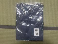 アークテリクス キャプティブアークワードSS Tシャツ Mサイズ 水色