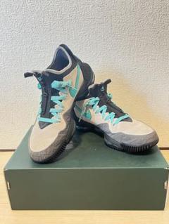 【極美品】★NIKE×ATMOS LEBRON16 \"クリアジェイド\" ★限定 atmos × Nike LeBron 16 