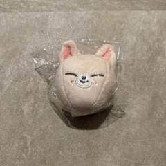 straykids アイエン ネームバッグチャーム フォクシニー スキズ straykids ペンミ ネームバッグチャーム＆ヘアゴム