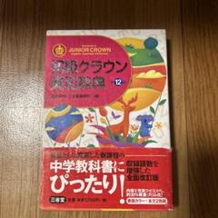 初級クラウン英和辞典
