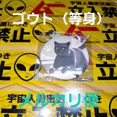 ゴウト RAIDOU 超力兵団奇譚 ナンジャタウン 缶バッジコレクション