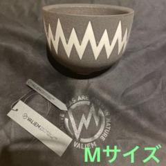 valiem青坊主二点セット 検)カタチ製作所 バリエム インビジブルインク 園芸用品