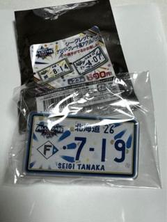 北海道日本ハムファイターズ 田中正義