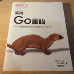 実用Go言語 : システム開発の現場で知っておきたいアドバイス