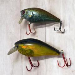2025年最新】ラッキークラフト nwの人気アイテム - メルカリ