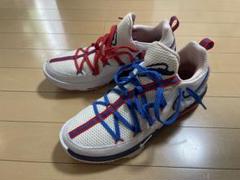 NIKE LEBRON XVII LOW TUNE SQUAD