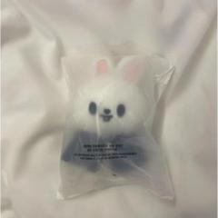 新品未開封 SKZOO10cmぬい用ケープ リービットパピームセット
