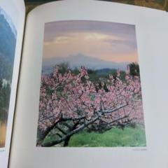 図録 近鉄百貨店創業50周年記念 大和し美し 入江泰吉 榊 莫山 二