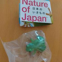 Nature of Japan フィギュア　ニホンアマガエル　ガチャガチャ