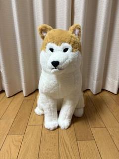 ほっこり秋田犬　2体セット　はち兵衛　ぽかまる　ぬいぐるみ　45センチBIG 楽天市場】ほっこり秋田犬はち兵衛ウルトラBIG ぽかまる : 誕