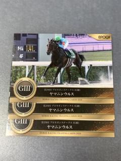 ホースレーシングカード　ヤマニンウルス　セット