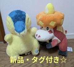 ヒノアラシ、アチゲータぬいぐるみ