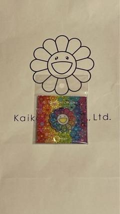 【新品】送料込み　フラワーピンズ　Superflat Multicolorのサムネイル