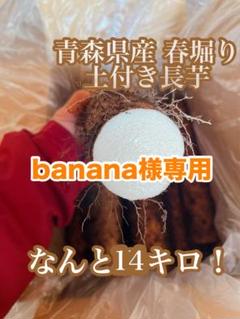 日本全国送料無料商品 | 特集 | 2025年最新】長芋 青森の人気アイテム - メルカリ 野菜