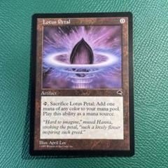 MTG　睡蓮の原野　英語4枚セット　ゆうゆうメルカリ便発送 睡蓮の原野の商品検索 | 日本最大級 MTG通販サイト「晴れる屋」