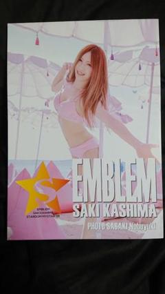 STARDAM スターダム 鹿島沙希 写真集 女子プロレス