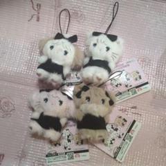 mikko characters BLACK RLBBONマスコット　全４種