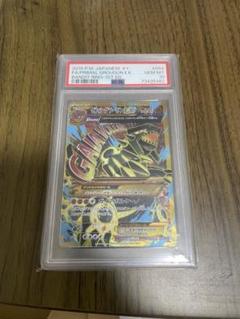 ポケモンカード Groudon EX 2015 GEM MT