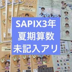 2023年度日能研4年生育成テスト(一年分フルセット)、夏期講習特別テスト 日能研 2022年度 4年生 学習力育成テスト等フルセット 全22回分