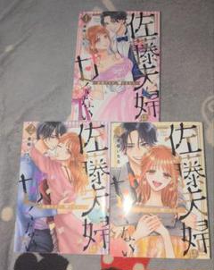 佐藤夫婦は甘くない～新婚ですが、シてません～1〜3