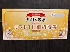 上国＆岩原　リフト1日ご招待券　ナイター付き　2枚 上越国際スキー場&岩原スキー場 リフト1日御招待券 2025限定