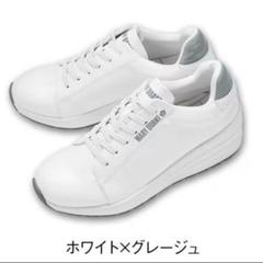 【美品】マリークワント　スニーカー　 Mサイズ 楽天市場】全品ポイント5倍 7/25 0:00-23:59□[マリークワント